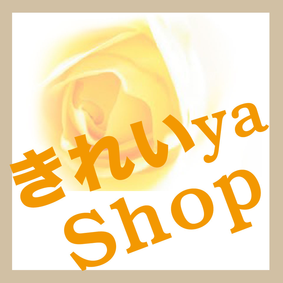 Shop icon