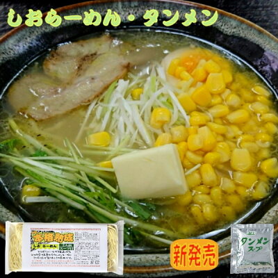 キリブチ製麺 楽天市場店 生ラーメン4食大盛セット(クリックポスト送料無料 4食 900円 ポッキリ 熟成 生 ラーメン しおらーめん タンメン 冷やし中華 らーめん 冷やしらーめん 醤油 業務用 飲食店用 )6種類から選択できます。(冷し中華はじめました。)