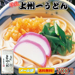 半生上州一うどん 3食入り （かけうどん ざるうどん もりうどん つけめん お中元 お歳暮 父の日 母の日 敬老の日 ご贈答 内祝い 郷土料理 送料無料 お取り寄せ グルメ）