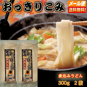 半生おっきりこみ 300g×2袋 6食分（おっきりこみ ひもかわ 煮込みうどん かけうどん ざるうどん もりうどん つけめん お中元 お歳暮 父の日 母の日 敬老の日 ご贈答 内祝い 郷土料理 送料無料）