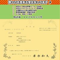 1129953号