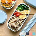 ランチボックス 保冷剤一体型 Mサイズ ひんやり 保冷 GEL-COOL dome ジェルクール ドーム お弁当箱 一段 ピクニック 遠足 小学校 女児 男児 女の子 男の子 中学校 高校 大学 社会人 女子 仕切り付き 弁当箱 1段 おしゃれ かわいい 夏 容器 使い易い 即日出荷 あす楽