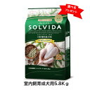 ソルビダ　グレインフリー　チキン　室内飼育成犬用　5.8Kg　ドッグフード　SOLVIDA