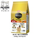 プロフェッショナルバランス 超小粒 1歳から 体重管理用 2.4kg ドッグフード ドライフード プロフェッショナル・バランス ペットライン 犬