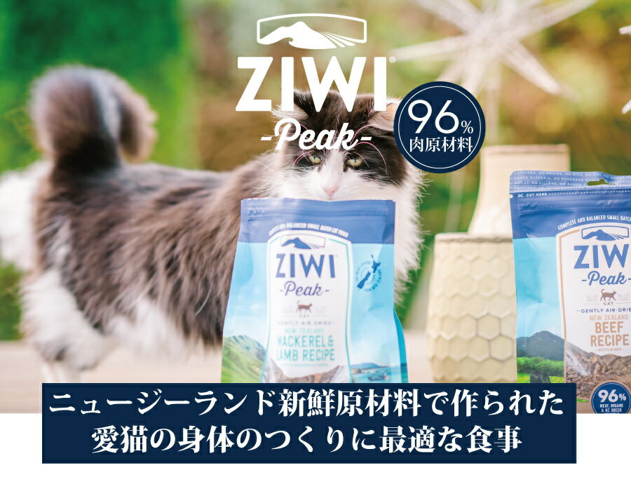 7月1日～価格改定　ジーウィピーク エアドライ キャットフード グラスフェッドビーフ 1Kg ziwi ドライフード 猫のごはん ZIWI 猫 2