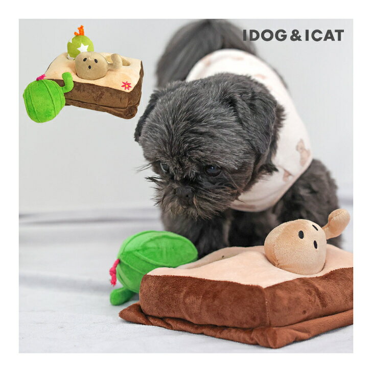 iDog 知育おもちゃ サボテンとハニワ アイドッグ 犬 おもちゃ　知育