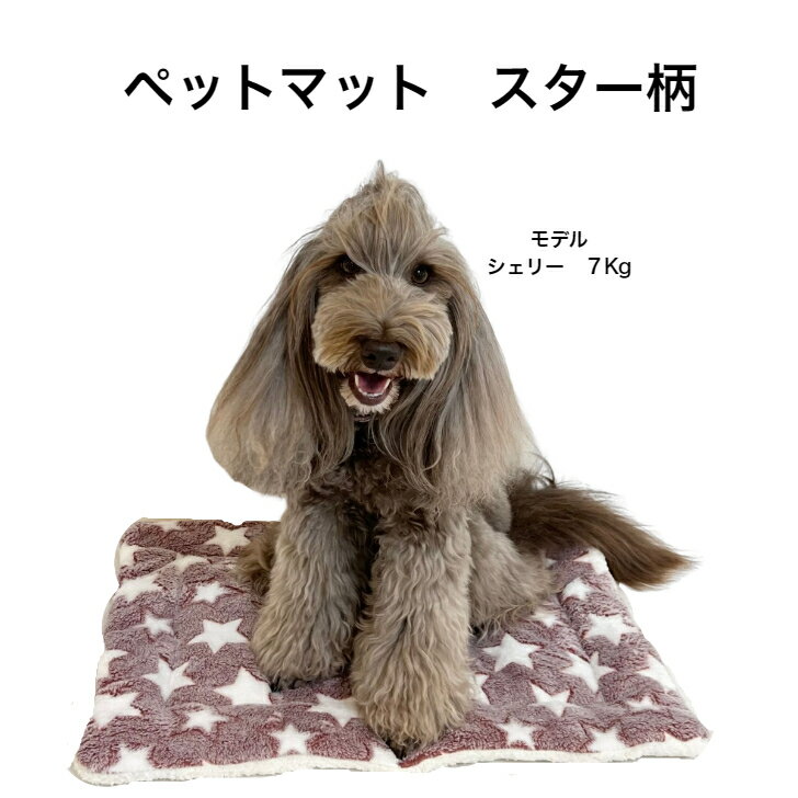 Smileペットマット冬用　スター柄 ペット用品　犬　ねこ　mサイズ