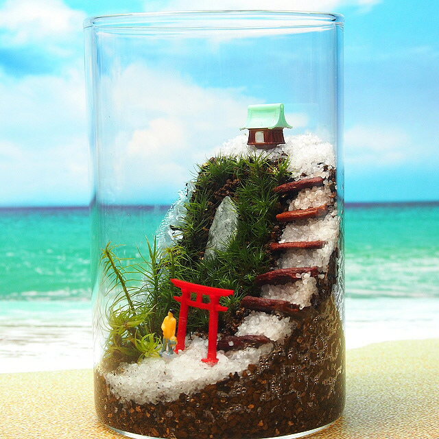 �ݿ��� ����˥����� �ݥƥ�ꥦ�� ���ꥭ�åȰ켰 ���տ�ʪ ������� �ߥ� �ƥ�ꥦ�� ���å� �����ꥦ�� ���� �ݥƥ�ꥦ�� �ݥꥦ�� �������ꥦ�� �������ƥ�ꥦ�� ��� �ϥ��� �����ǥ˥� ���꡼�� ����ƥꥢ �� ���ߺ� ���� moss �鿴�� ����� ��Ϸ����