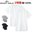 2枚組 半袖 丸首 Tシャツ ボディワイルド BW5013A 無地 カラー 紳士 メンズ 綿100％ 抗菌防臭加工 グンゼ おすすめ