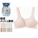 グンゼ ブラ 綿混 メッシュ素材 EB1237H ノンワイヤーブラ 吸汗速乾 インナー レディース クールマジック 春夏素材