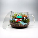 農場 苔テラリウム 手作りキット 一式 ティーカップ 観葉植物 おしゃれ ミニ テラリウム キット コケリウム 苔 コケ 苔テラリウム 苔リウム アクアリウム ...