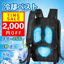 【2025新登場】冷却ベスト 水冷服 ペルチェ素子採用 青空 調作業服 瞬間冷却 最新3つ冷却ブレート&最大-25℃冷やす USB給電式 30000mAh大容量...