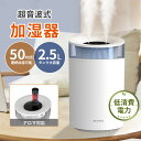 加湿器 大容量 加湿器 卓上 2.5L 超音波式 加湿器 おしゃれ 加湿器 スチーム式 空気清浄機 4段階調節 卓上加湿器 オフィス 湿度設定 空焚き防止 7色にグラデーションするLEDライト アロマ対応 切タイマー設定 自動停止機能 静音 節電 省エネ エコ 軽量 新生活