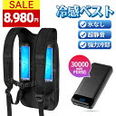 ペルチェベスト 冷却ベスト 冷感ベスト 30000mAh PD対応バッテリ付き 瞬間強力冷却 半導体冷却 瞬間体感-28℃ 2つ冷却プレート 超静音 肌寒い サイズ調節可 長時間稼働 USB給電 簡単取り付け 男女兼用 屋外/屋内 外仕事 農作業 釣り 夏 熱中症対策