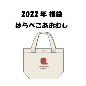 【送料無料】はらぺこあおむし★ベビー(乳児)/男の子 コーディネイトセット アパレルセット ハッピーバッグ/福袋/お楽しみ袋 70〜90cm/6点セット 2022年