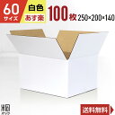 白 ダンボール 段ボール 60サイズ 100枚 (無地 250x200x140) 段ボール ダンボール箱 60サイズ 梱包 宅配 60 きれい ギフト プレゼン...