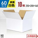 白 ダンボール 段ボール 60サイズ 10枚 (無地 250x200x140) 段ボール ダンボール箱 60サイズ 梱包 宅配 60 きれい ギフト プレゼント 収納 通販 小物 発送 保管 ケース