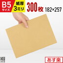 ダンボール板 段ボール板 工作 B5 サイズ 300枚 (182x257) 板ダンボール B5 ダンボールシート 緩衝材 DIY 台紙 展示用 補強 看板 工作用 梱包 宅配 梱包材 通販 通販用 国産 最強翌日配送