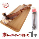 鹿レッグボーン 特大 1本入り 無添加 無着色 保存料不使用 犬用おやつ 国産 鹿の骨 足骨 ペットフード 【宮崎県産・霧島ジビエ】