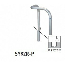 個人宅配送不可 帝金 SY82R-P バリカー横型 スタンダード ステンレスタイプ 500×500×H800 直径60.5mm 脱着式フタ付