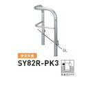 個人宅配送不可 帝金 SY82R-PK3 バリカー横型 スタンダード ステンレスタイプ 500×500×H800 直径60.5mm 脱着式カギ付