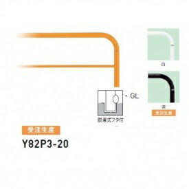 個人宅配送不可 帝金 Y82P3-20 バリカー横型 スタンダード スチールタイプ W2000×H800 直径60.5mm 脱着式フタ付