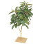 『人工植栽』 タカショー グリーンデコ和風 ユズリハ 板付 90cm GD-11S