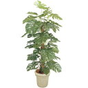 『人工植栽』 タカショー グリーンデコ鉢付 モンステラ 1.8m GD-146