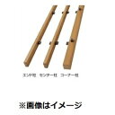 タカショー リバーシブルユニット用オプション H1350用角柱 エンド (30×60) 『アルミフェンス 柵』 ラッピングカラー
