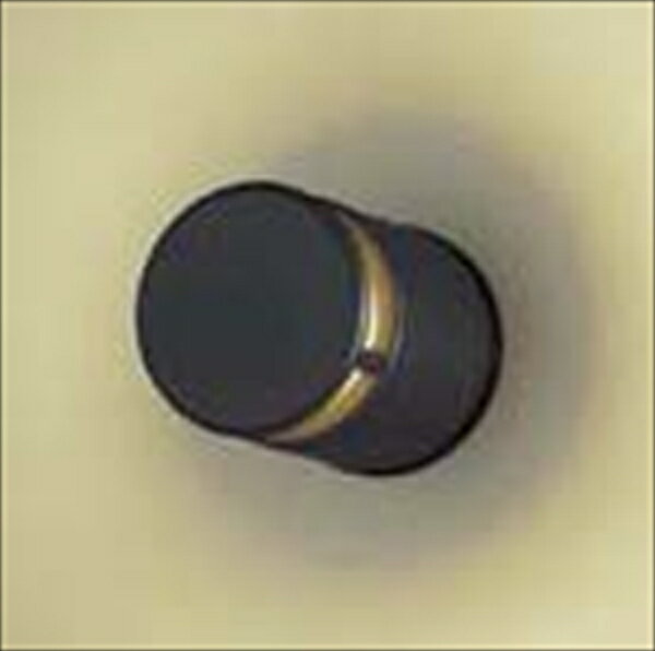 リクシル LPK-23型 8 VLE54 NK オフブラック 『エクステリア照明 LED100V ライト』