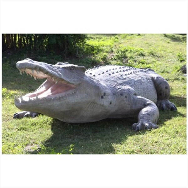 FRP 巨大クロコダイル / Crocodile 28ft fr100097 『動物園オブジェ アニマルオブジェ 店舗・ホテル向け』