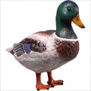 FRP }K / Mallard Duck 24 fr150003 wIuWF Aj}IuWF X܁Ezex