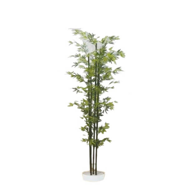 Rakuten - グローベン リフェイクグリーン 人工植物 竹・屋内用 青竹（5本立） H1500 専用土台付き