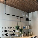 【受注生産品】カツデン Hosuba(ホスバ) フリーサイズ Lサイズ 角パイプ 25角 幅 1000 〜 2000 × 高さ 450 〜 600 『 カツデン...