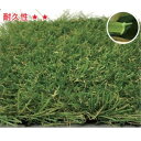 ビーライフエス 人工芝 KターフV (直毛(V型)&カール) #5505977 幅:2m 10m巻き 芝高:30mm