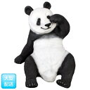 FRP　戯れるパンダ / Slouching Panda (Not in Aus)　 fr110107 『動物園オブジェ　アニマルオブジェ　店舗・イベント向け』