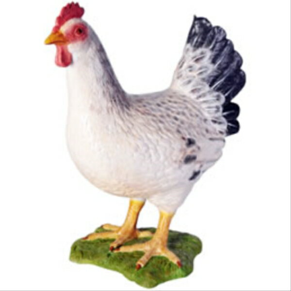 FRP 白い雌鳥 / Hen White fr100041A 『動物園オブジェ 鳥オブジェ 店舗・イベント...
