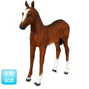 FRP en / Foal fr120043 wIuWF Aj}IuWF X܁ECxgx