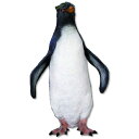 FRP CgryM / Rockhopper Penguin fr100067wكIuWF Aj}IuWF X܁ECxgx