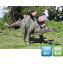 FRP ƥ륹 / Stegosaurus fr100045 ضε֥ ʪۥ֥ Źޡ٥ȸ