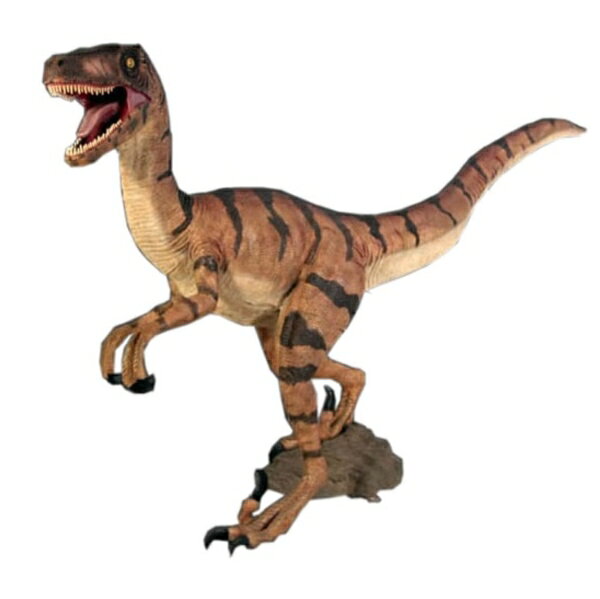 FRP ヴェロキラプトル / Velociraptor fr110015 『恐竜オブジェ 博物館オブジェ 店舗・イベント向け』