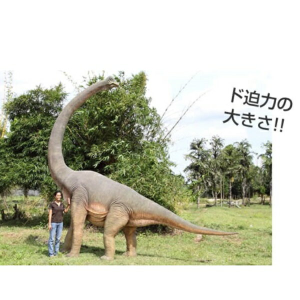 FRP　振り向くブラキオサウルス / Brachiosaurus with Twisted Neck　『恐竜オブジェ　博物館オブジェ　店舗・イベント向け』
