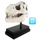 FRP T-Rex̓ / T-Rex Skull on Base fr100502 wIuWF كIuWF X܁ECxgx