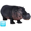 FRP Jo / Hippopotamus fr110023 wIuWF Aj}IuWF X܁Ezex