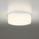 オーデリック ポーチライト # OW 269 017LD *電球色