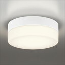 オーデリック ポーチライト # OW 269 034LD *電球色