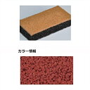 【法人様限定商品 個人宅・現場配送不可】四国化成 チップロード CPR-B54 標準タイル(10mm厚) ブロックタイプ 『外構DIY部品』