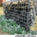 ウェーブフロントセキガハラガビオーネ1200×300×900※詰石は別売りになります【蛇篭 ガビオンストーンボックス】
