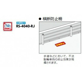 ����ݡ��� ϩ��ɸ�������� �����ɻߺ��� RS-4040-RJ