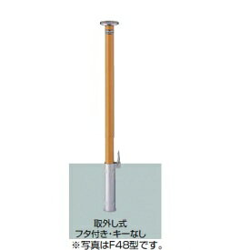 リクシル スペースガード（車止め） LNF62 F48型 取外し式 フタ付き・キーなし 標準型